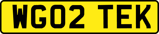 WG02TEK