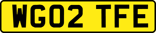 WG02TFE