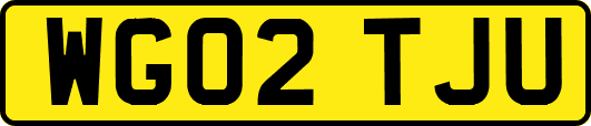 WG02TJU