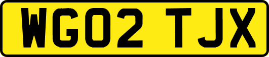 WG02TJX