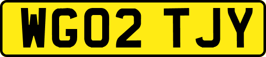 WG02TJY