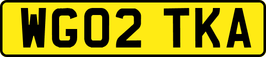 WG02TKA