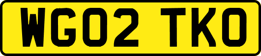 WG02TKO