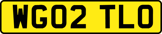 WG02TLO