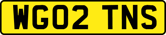 WG02TNS