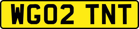 WG02TNT