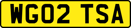 WG02TSA