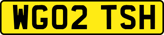 WG02TSH