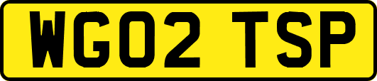 WG02TSP