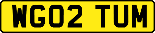 WG02TUM