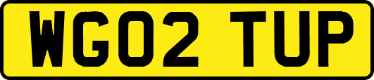WG02TUP