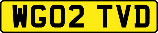 WG02TVD