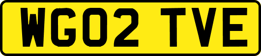 WG02TVE