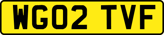 WG02TVF