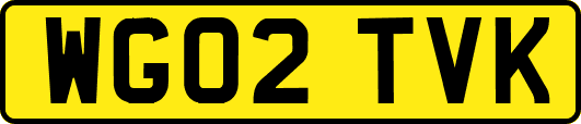 WG02TVK