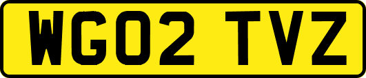 WG02TVZ