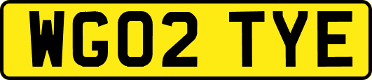 WG02TYE
