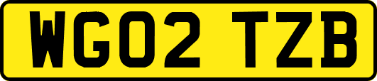 WG02TZB