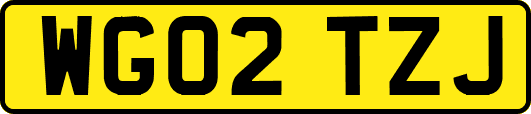 WG02TZJ