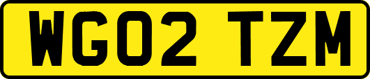 WG02TZM