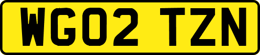 WG02TZN