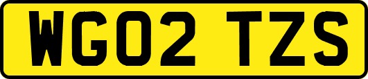 WG02TZS