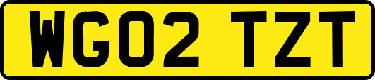 WG02TZT