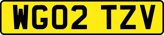 WG02TZV