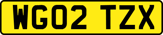 WG02TZX