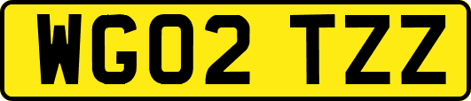 WG02TZZ