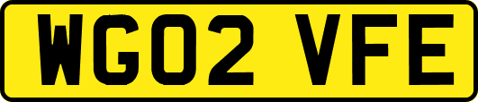 WG02VFE