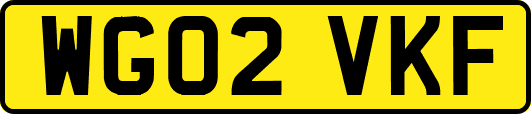 WG02VKF