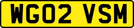 WG02VSM