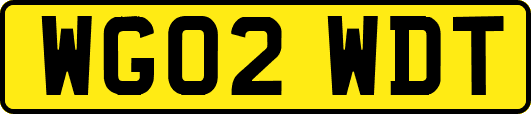 WG02WDT