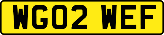 WG02WEF