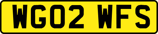 WG02WFS