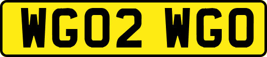 WG02WGO