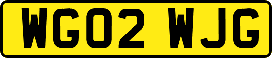 WG02WJG