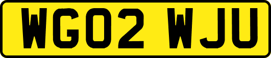 WG02WJU