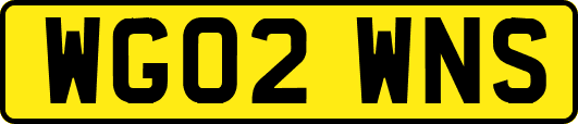 WG02WNS