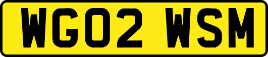 WG02WSM