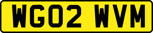 WG02WVM