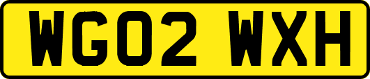 WG02WXH