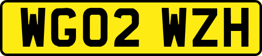 WG02WZH
