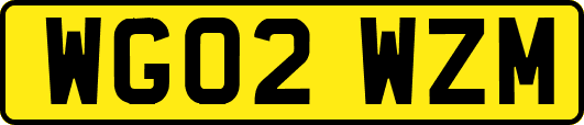 WG02WZM