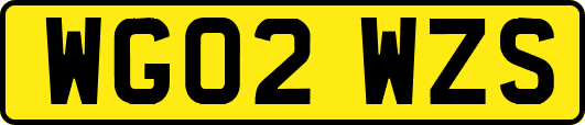 WG02WZS