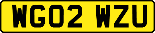 WG02WZU