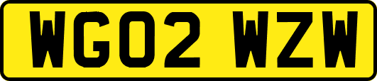 WG02WZW