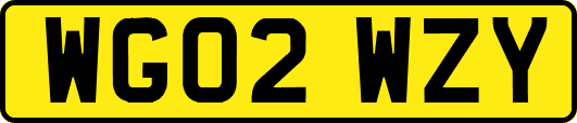 WG02WZY