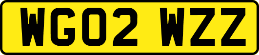WG02WZZ